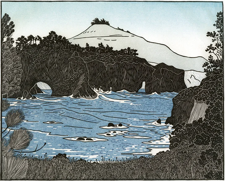 Buckhorn Cove, South of Little River, Mendocino — Tom Killion